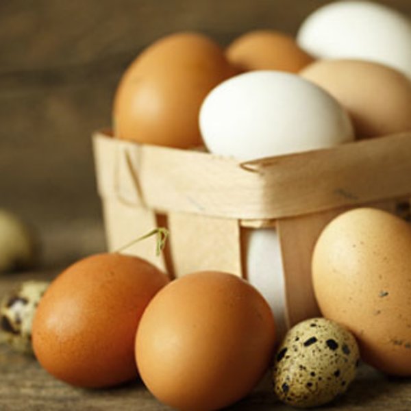 world-day-eggs